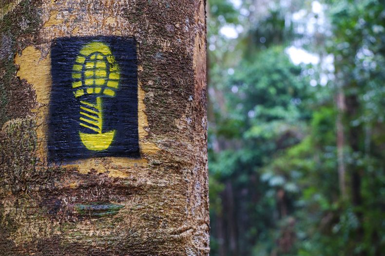 A importância das trilhas de longo curso na Amazônia